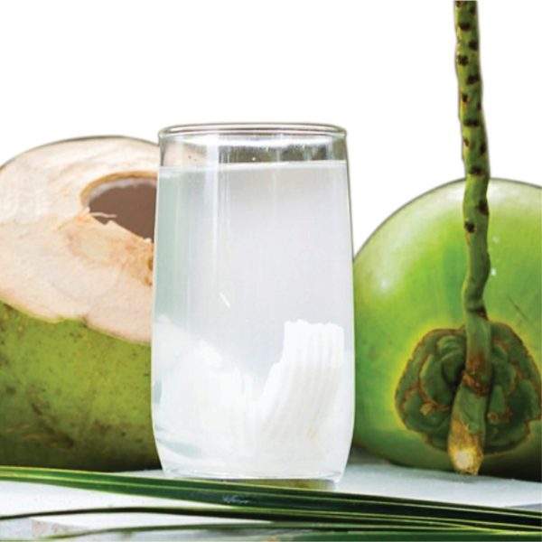 Coconut Water - 100% Natural with No Preservatives or Added Sugar