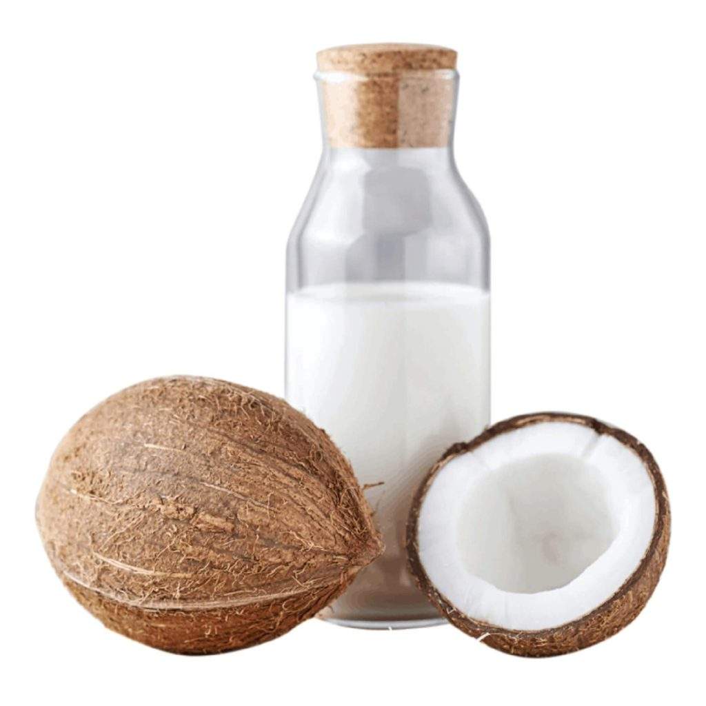 Coconut Milk - Creamy, Fragrant, Nourishing Base for Any Recipes