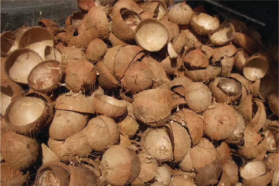 How Premium Coconut Charcoal Briquettes Are Made